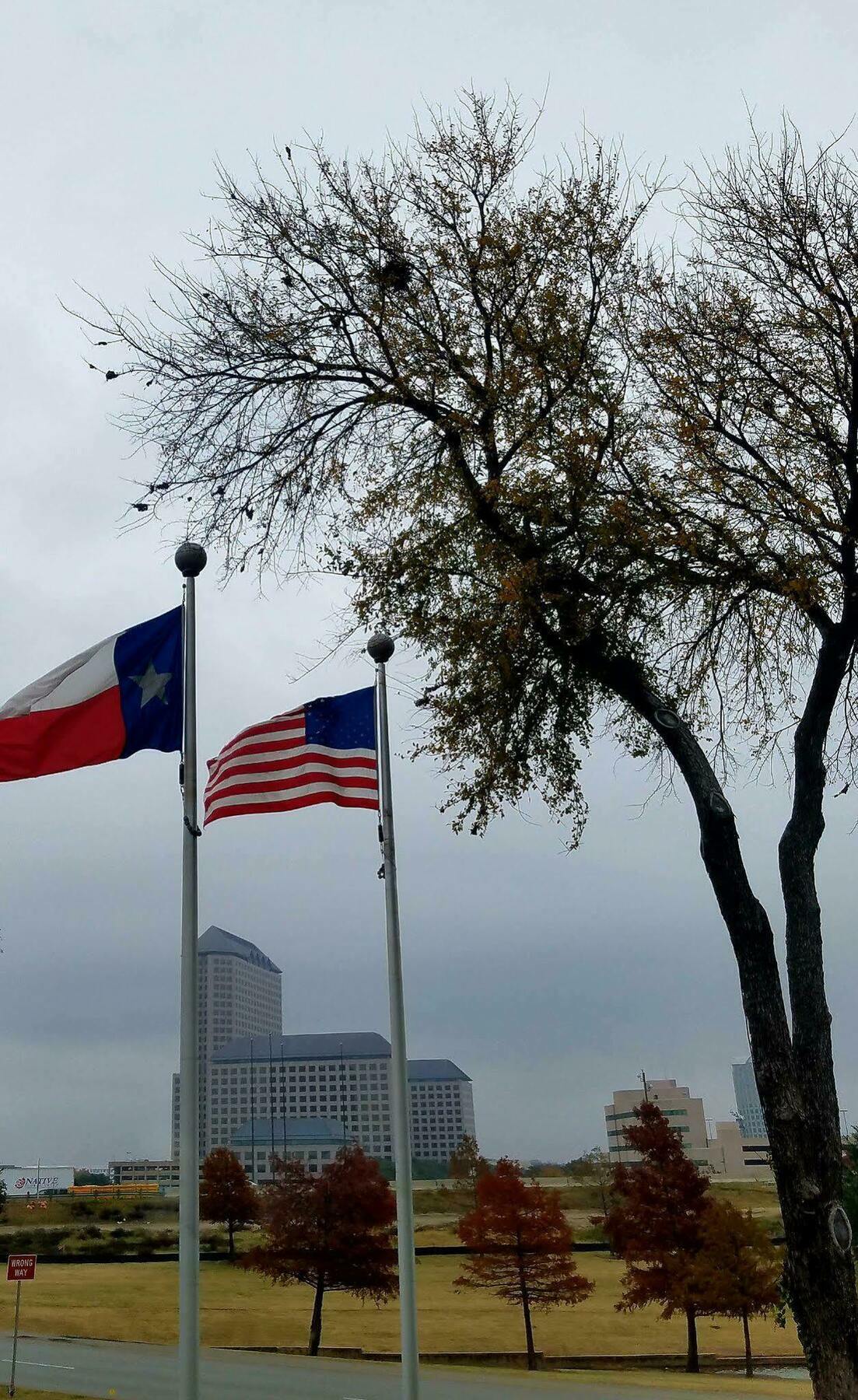 Holiday Inn Irving Las Colinas By Ihg Exterior foto